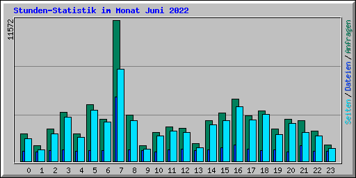 Stunden-Statistik im Monat Juni 2022