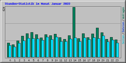 Stunden-Statistik im Monat Januar 2022